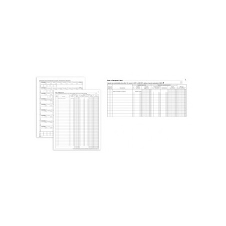 Registro Beni Ammortizzabili 45pg Num 31x24,5 Cm